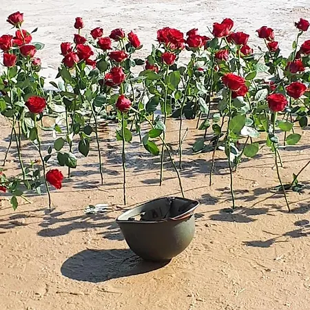 Chez Jeanne * Saint-Laurent-sur-Mer