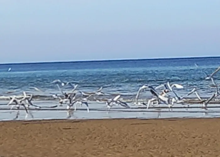 Appartamento Chez Jeanne *