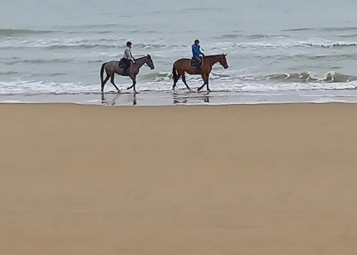 Apartment Chez Jeanne Saint-Laurent-sur-Mer